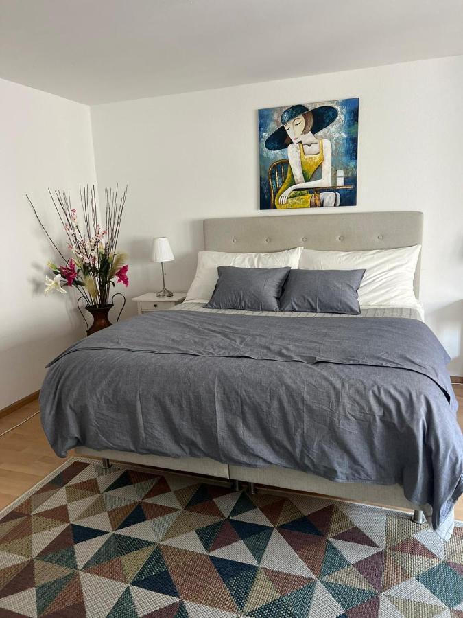 Schweiz Apartment Basel Exterior photo